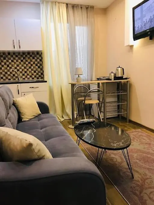Arya One Bedroom Comfortable Flat In Cihangir Istambul 0*,