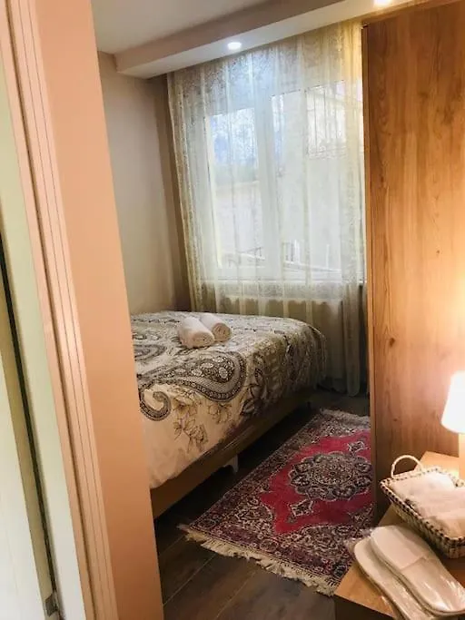 Arya One Bedroom Comfortable Flat In Cihangir location